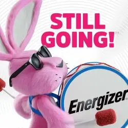 Pilas y Baterias,Set Pilas Alcalina Grandes D Para Calefont Estufa Juguetes - Energizer