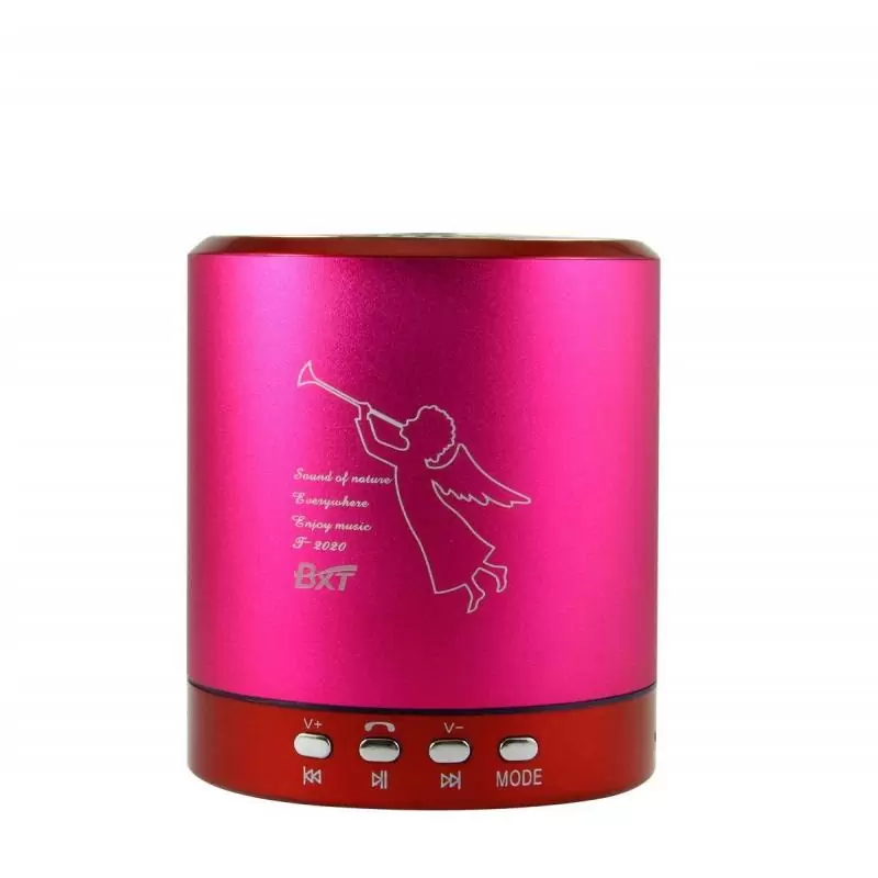 Parlante Portátil,Parlante Mini Bluetooth Portable Recargable Con Fm Radio