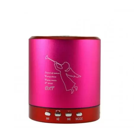 Parlante Portátil,Parlante Mini Bluetooth Portable Recargable Con Fm Radio