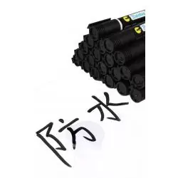 Lapices,Kit Caja De 10 Lapices Plumon Marcador Permanente Negro