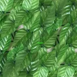 Terraza y Jardín,Malla Alfombra Hojas Enredadera Treillage Reja Cortina 24x1Mts