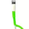 Cables de Datos y Carga,Pack Protector Resorte Espiral Verde + Cable Usb Compatible iPhone