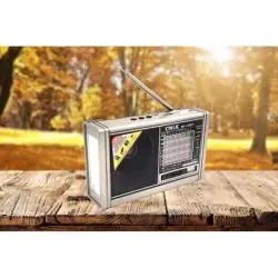 Parlante Portátil,Radio Parlante Vintage Recargable Fm Bluetooh Linterna Usb - MK148BT